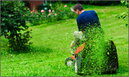 efficient and professional landscaping services